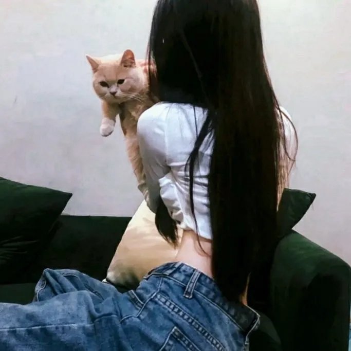 红衣主教
