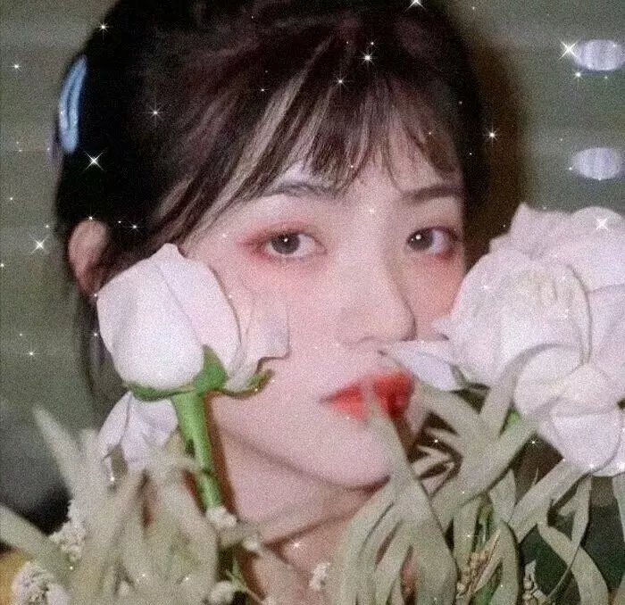 心的证言